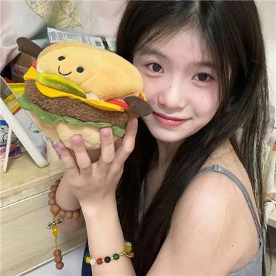 双重追击